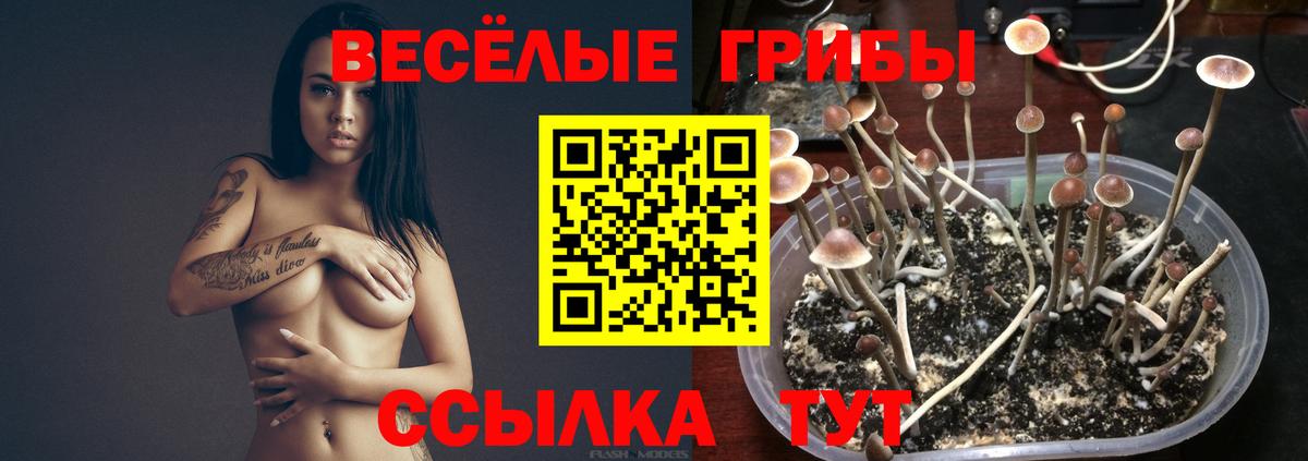 Псилоцибиновые грибы ЛСД  Вход с VPN  Норильск  Галлюциногенные грибы Magic Shrooms 